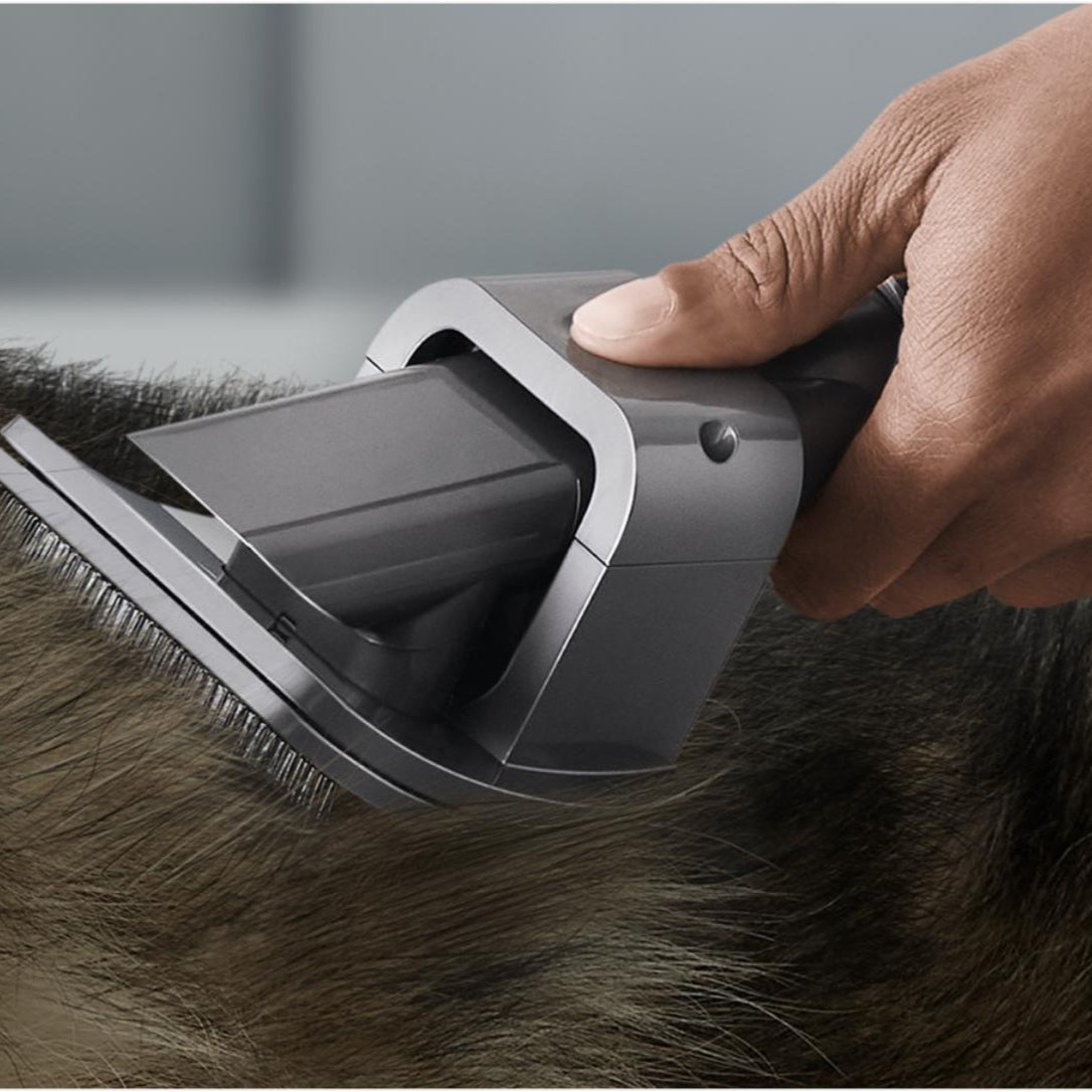 Dyson Pet Grooming Kit
