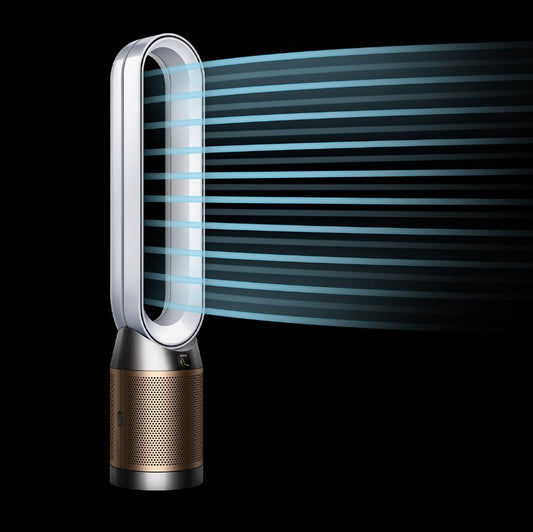 Dyson Purifier Cool PC2 De-NOx (White/Gold)