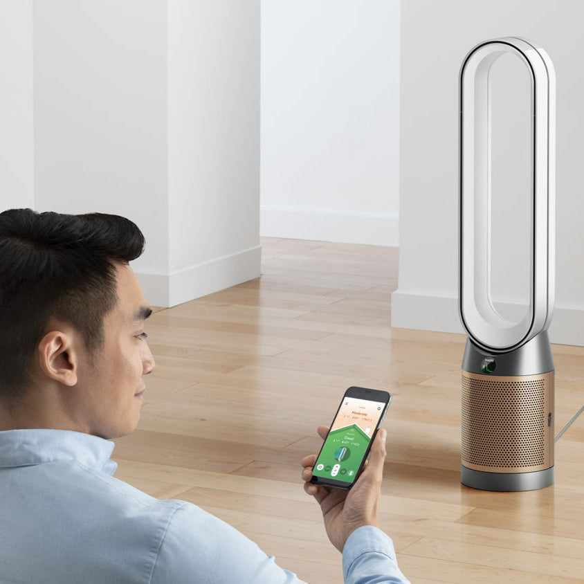 Dyson Purifier Cool PC2 De-NOx (White/Gold)