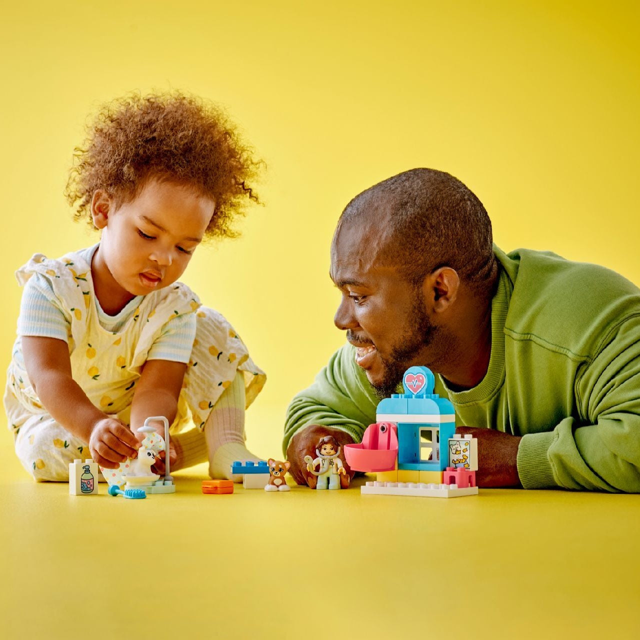 Lego 10438 Visit to the Vet Clinic