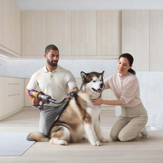 Dyson Pet Grooming Kit