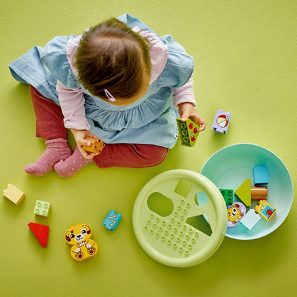 Lego Shape Sorter: Puppy House