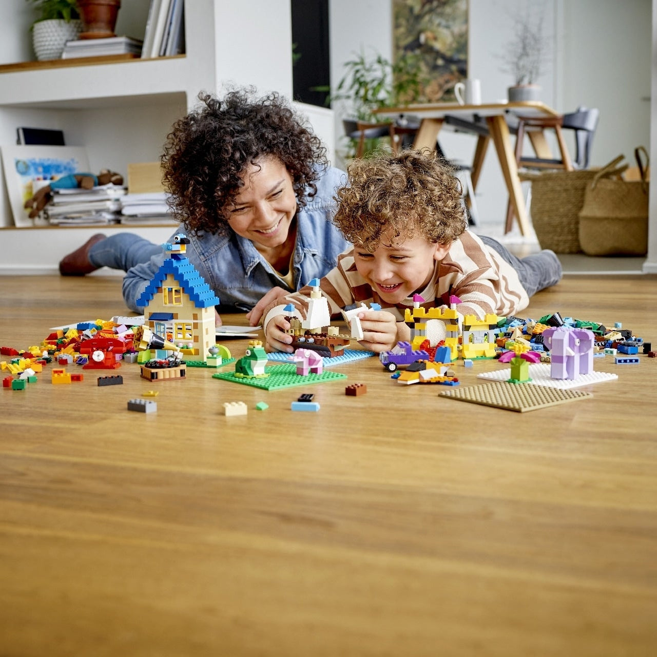 Lego 11717 Classic Bricks Bricks Plates